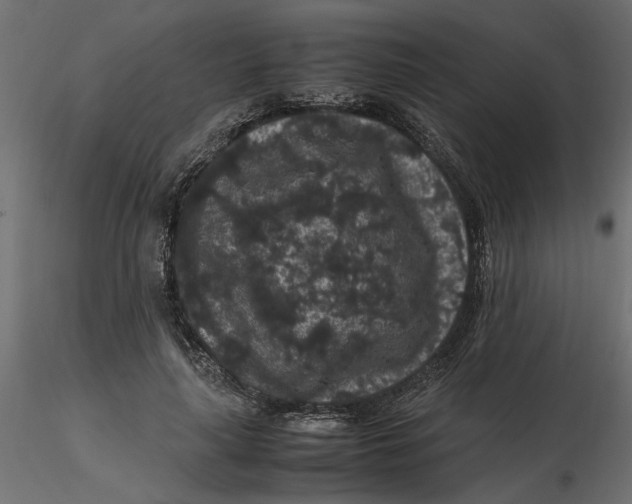 X0000116560643200912311933