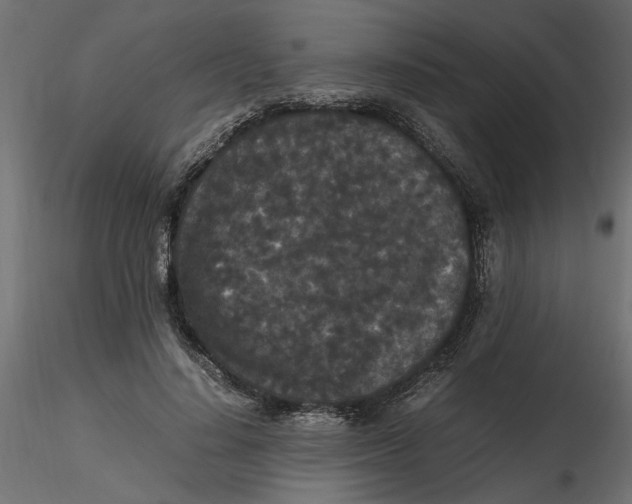 X0000116560644200912311933