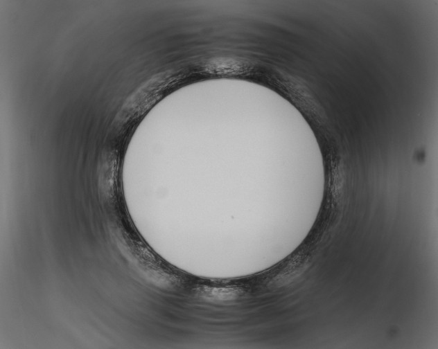 X0000116560645200912311933