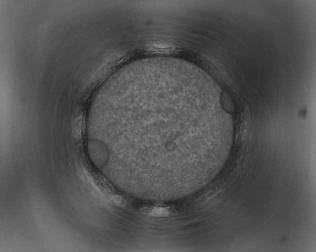 X0000116560647200912311933