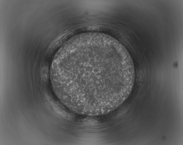 X0000116560648200912311933