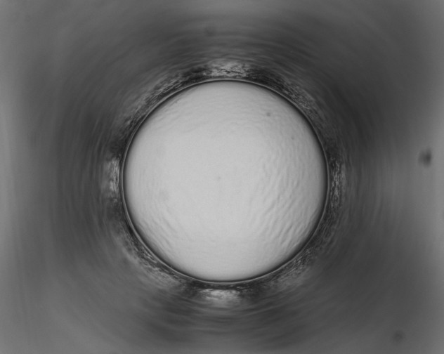 X0000116560649200912311933