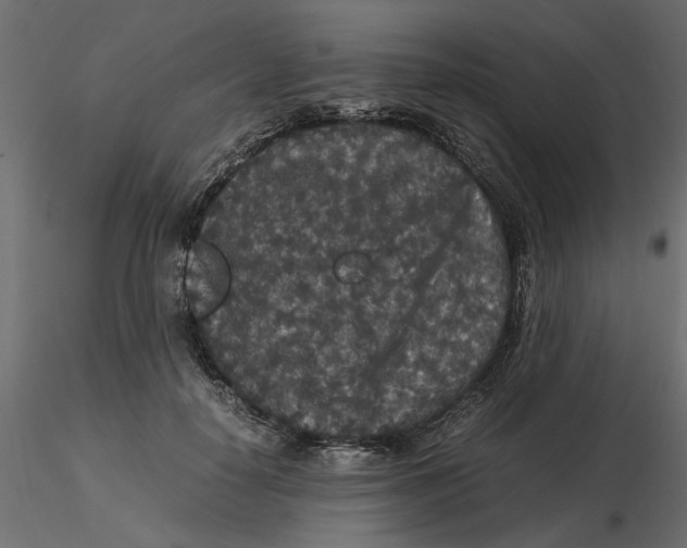 X0000116560650200912311933