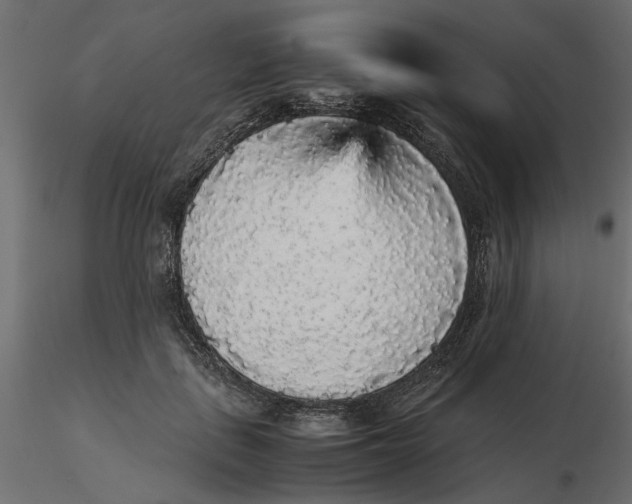 X0000116560651200912311933