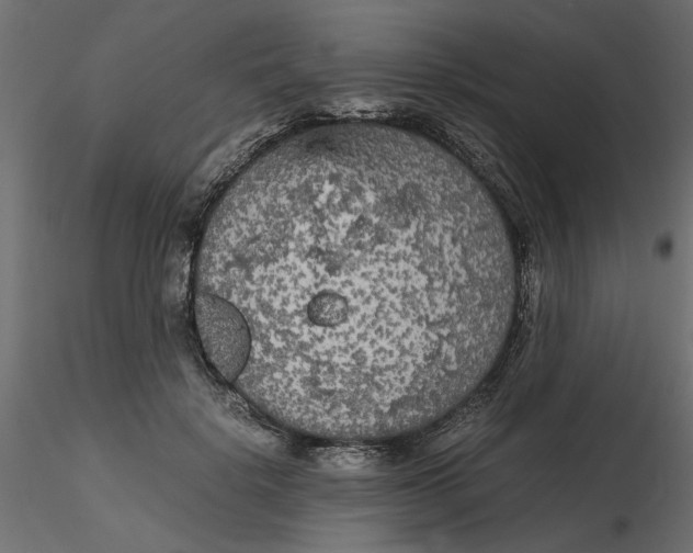 X0000116560652200912311933