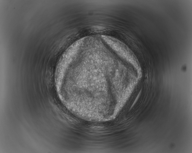 X0000116560653200912311933