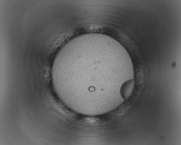 X0000116560654200912311933