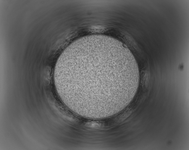 X0000116560655200912311933