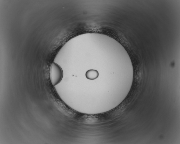 X0000116560658200912311933