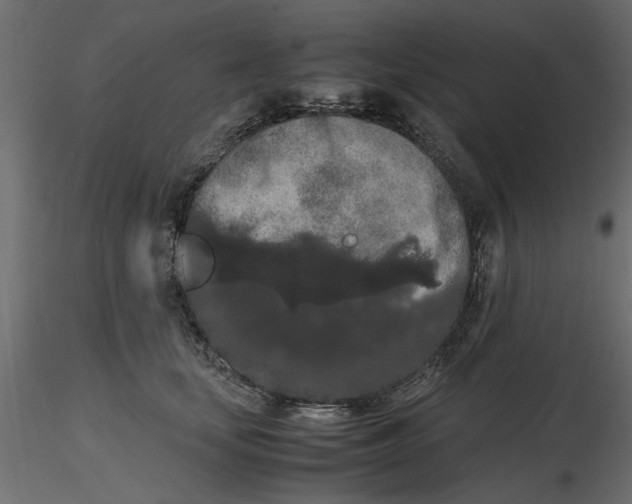 X0000116560659200912311933