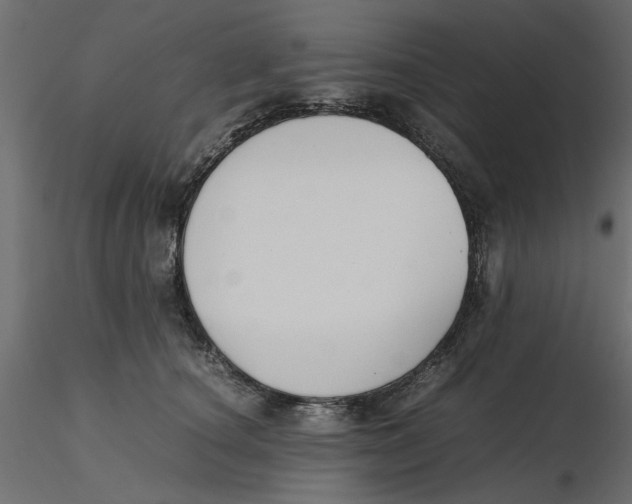 X0000116560660200912311933