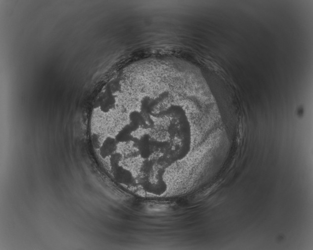 X0000116560661200912311933