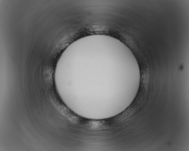 X0000116560662200912311933