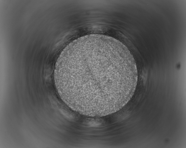 X0000116560663200912311933