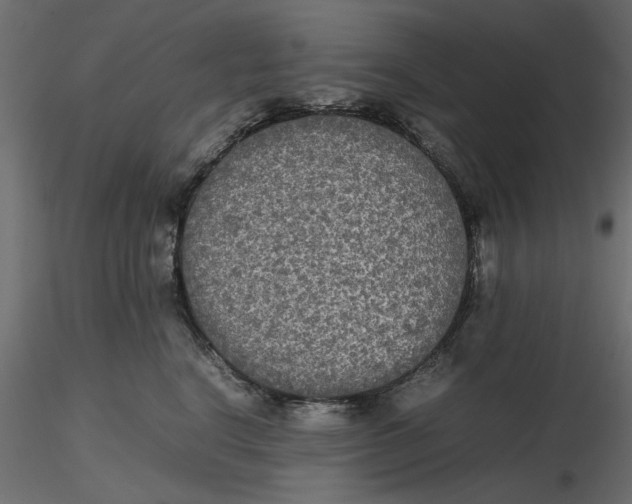 X0000116560664200912311933