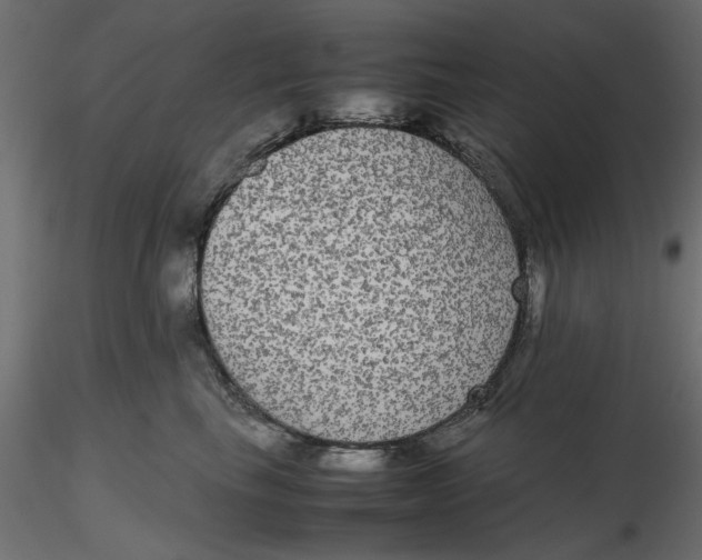 X0000116560665200912311934