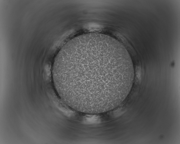 X0000116560667200912311934