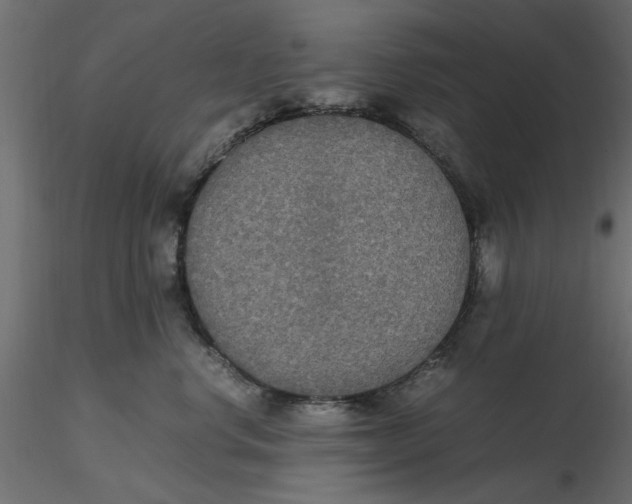 X0000116560668200912311934