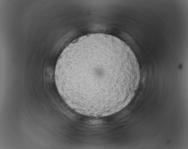 X0000116560669200912311934