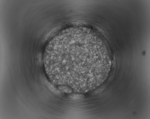 X0000116560670200912311934