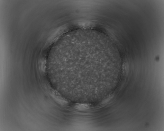 X0000116560671200912311934