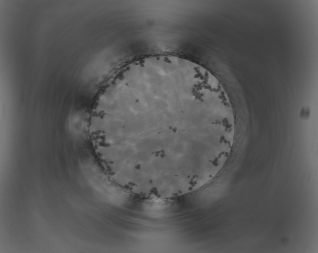 X0000116560672200912311934