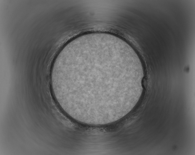 X0000116560673200912311933