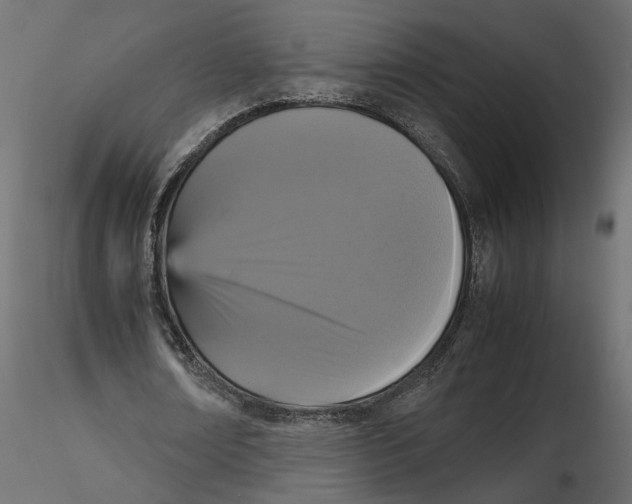 X0000116560674200912311933