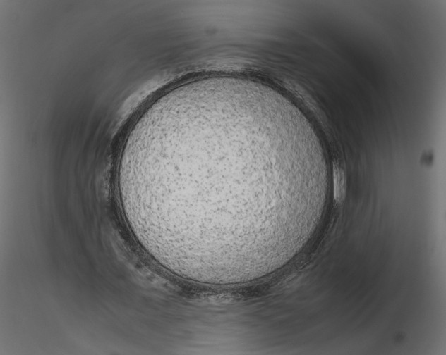 X0000116560675200912311933