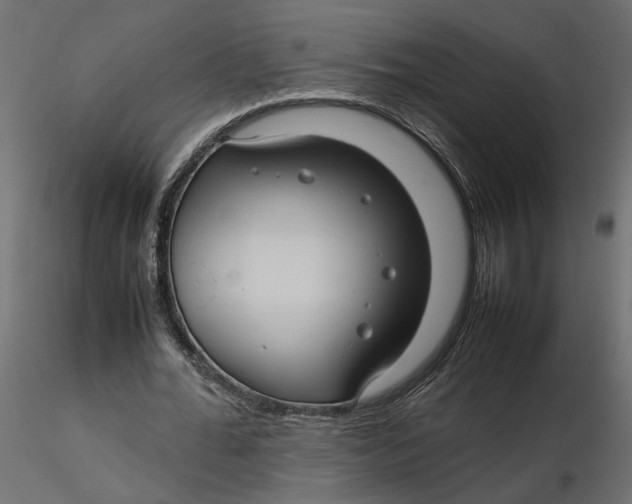 X0000116560676200912311933