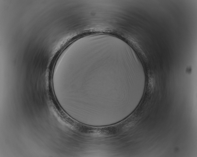 X0000116560678200912311933