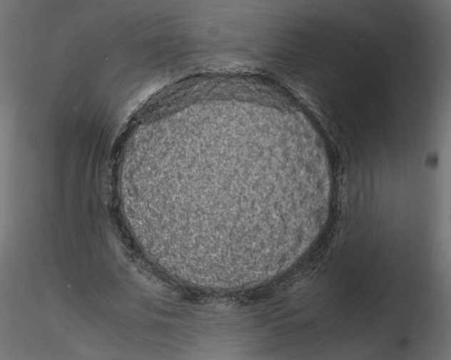 X0000116560679200912311933