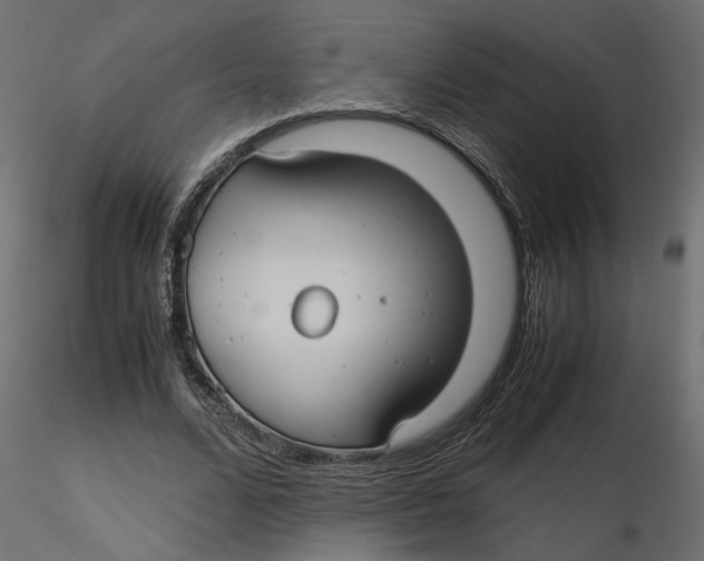 X0000116560680200912311933