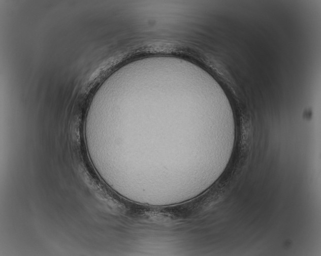 X0000116560681200912311933