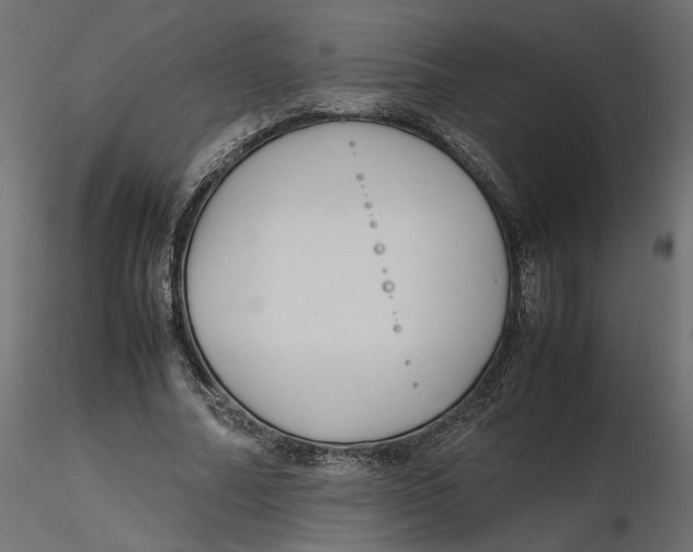 X0000116560682200912311933