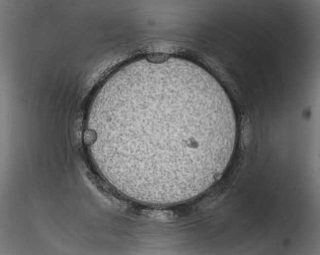 X0000116560683200912311933