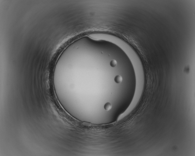 X0000116560684200912311933