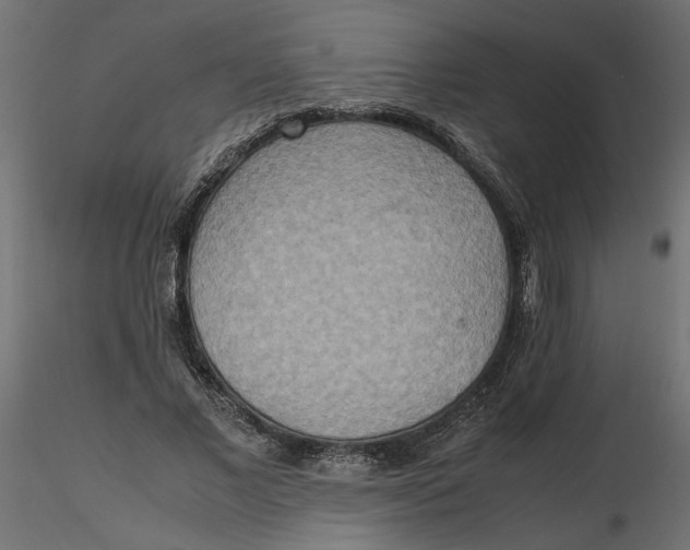 X0000116560685200912311933