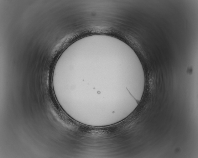 X0000116560686200912311933