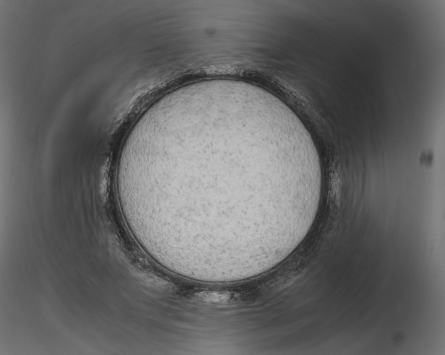 X0000116560687200912311933