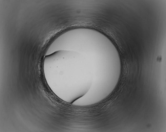 X0000116560688200912311933