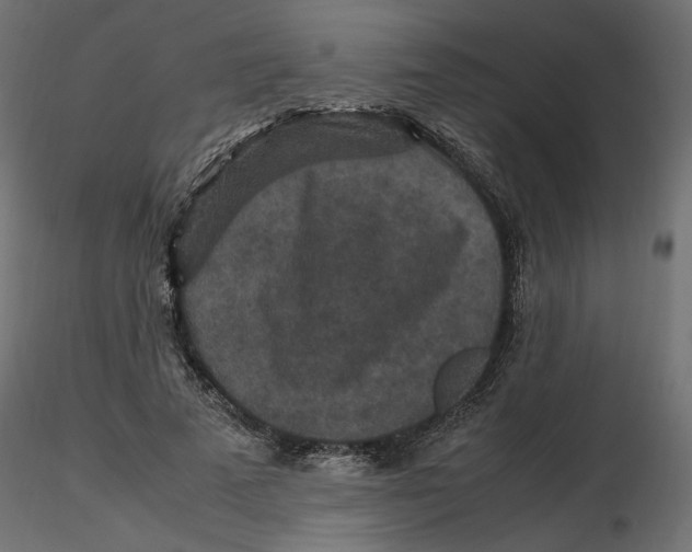 X0000116560689200912311933