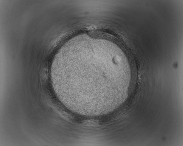 X0000116560691200912311933