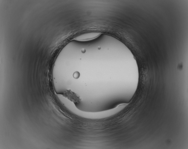 X0000116560692200912311933