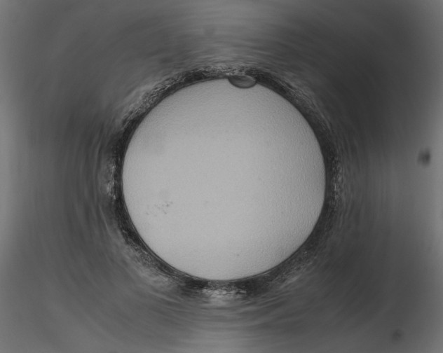 X0000116560693200912311933