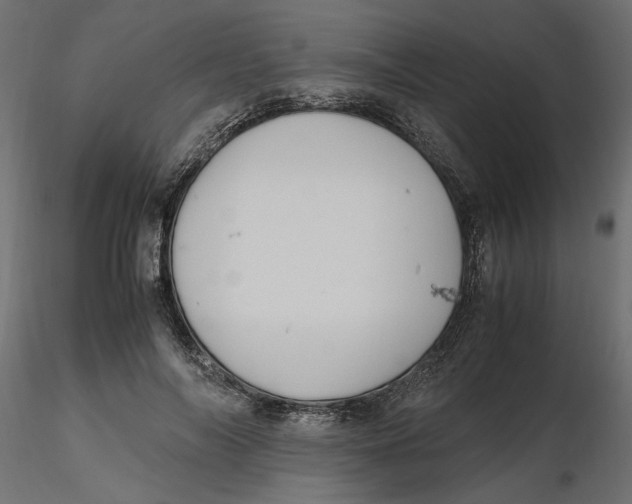 X0000116560694200912311933