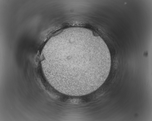 X0000116560695200912311933