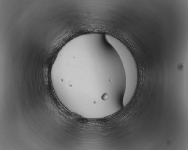 X0000116560696200912311933