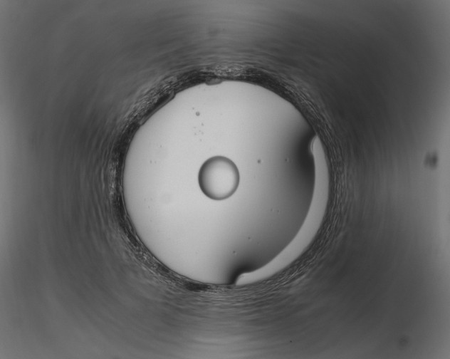 X0000116560697200912311933