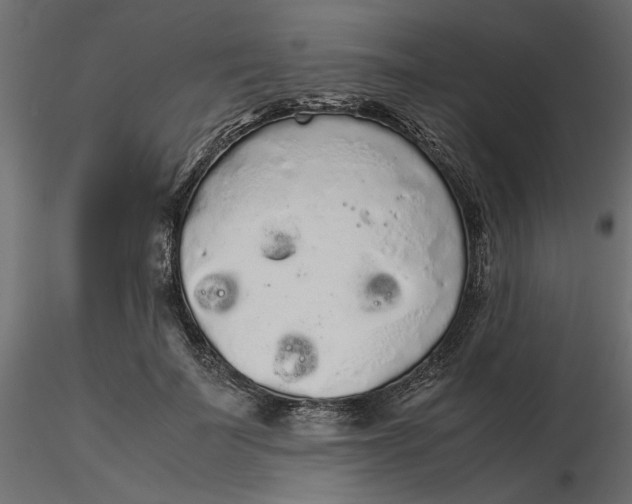 X0000116560699200912311933